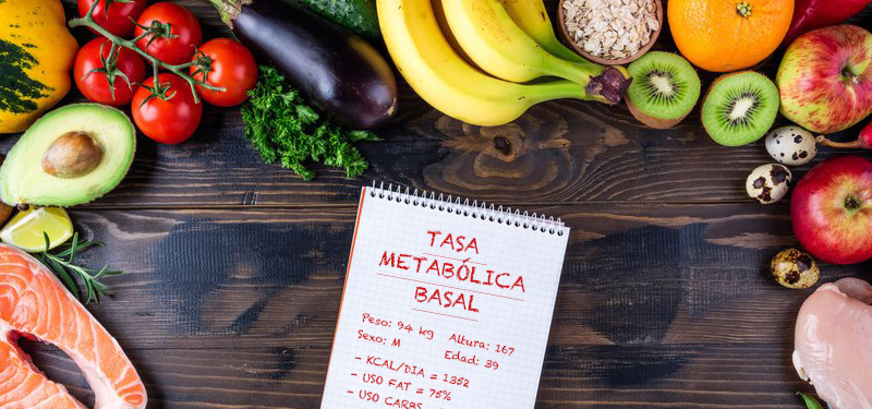 Tormento director Fácil de comprender Sabes cuán rápido y eficiente es tu metabolismo? | Blog Ergodinámica